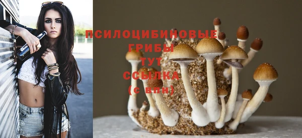 наркотики Медвежьегорск