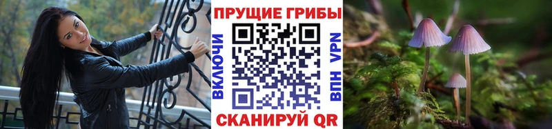 Купить  Константиновск  Галлюциногенные грибы мицелий 